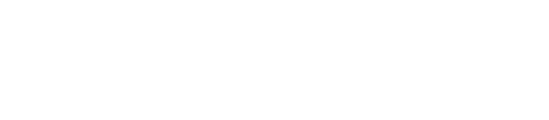 Wealth Vault Logo